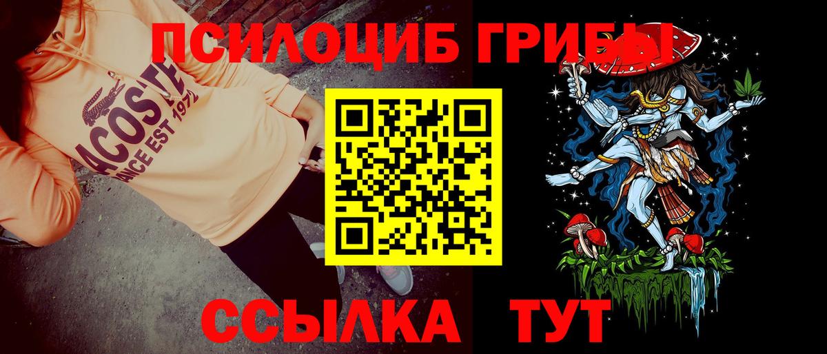 Псилоцибиновые грибы Cubensis Архангельск